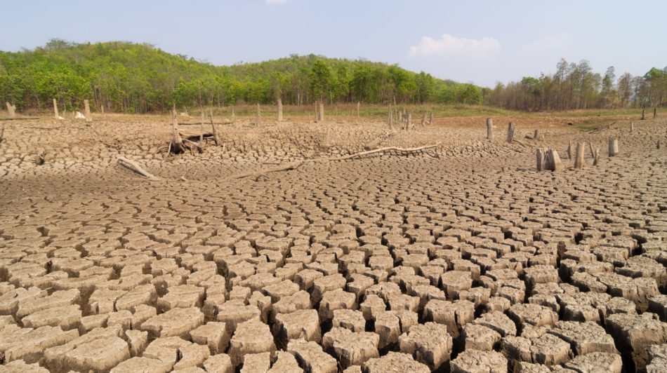 Impact de la sécheresse sur les études de sol en France