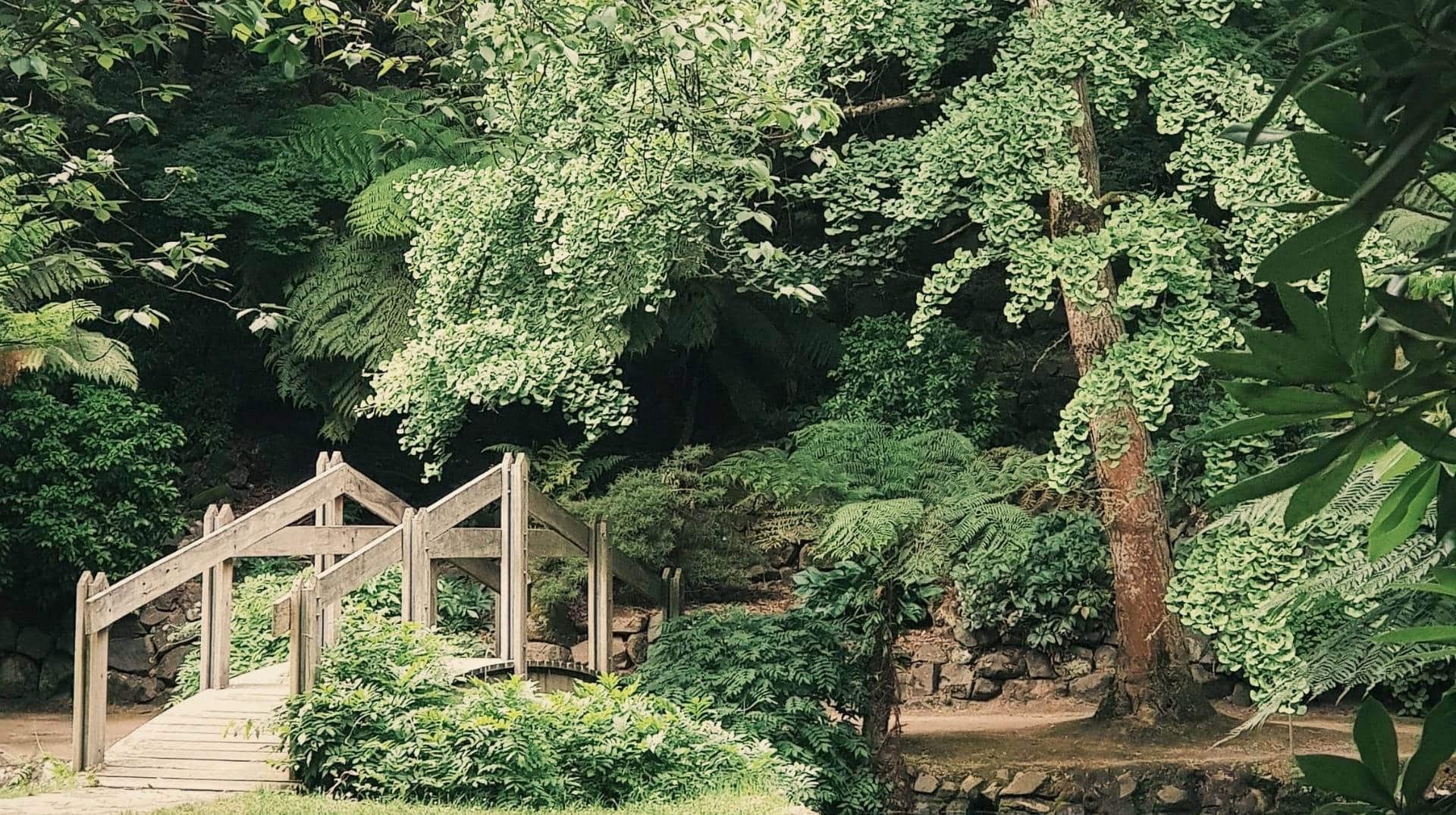 Le terrassement de jardin : Tour savoir pour un aménagement réussi