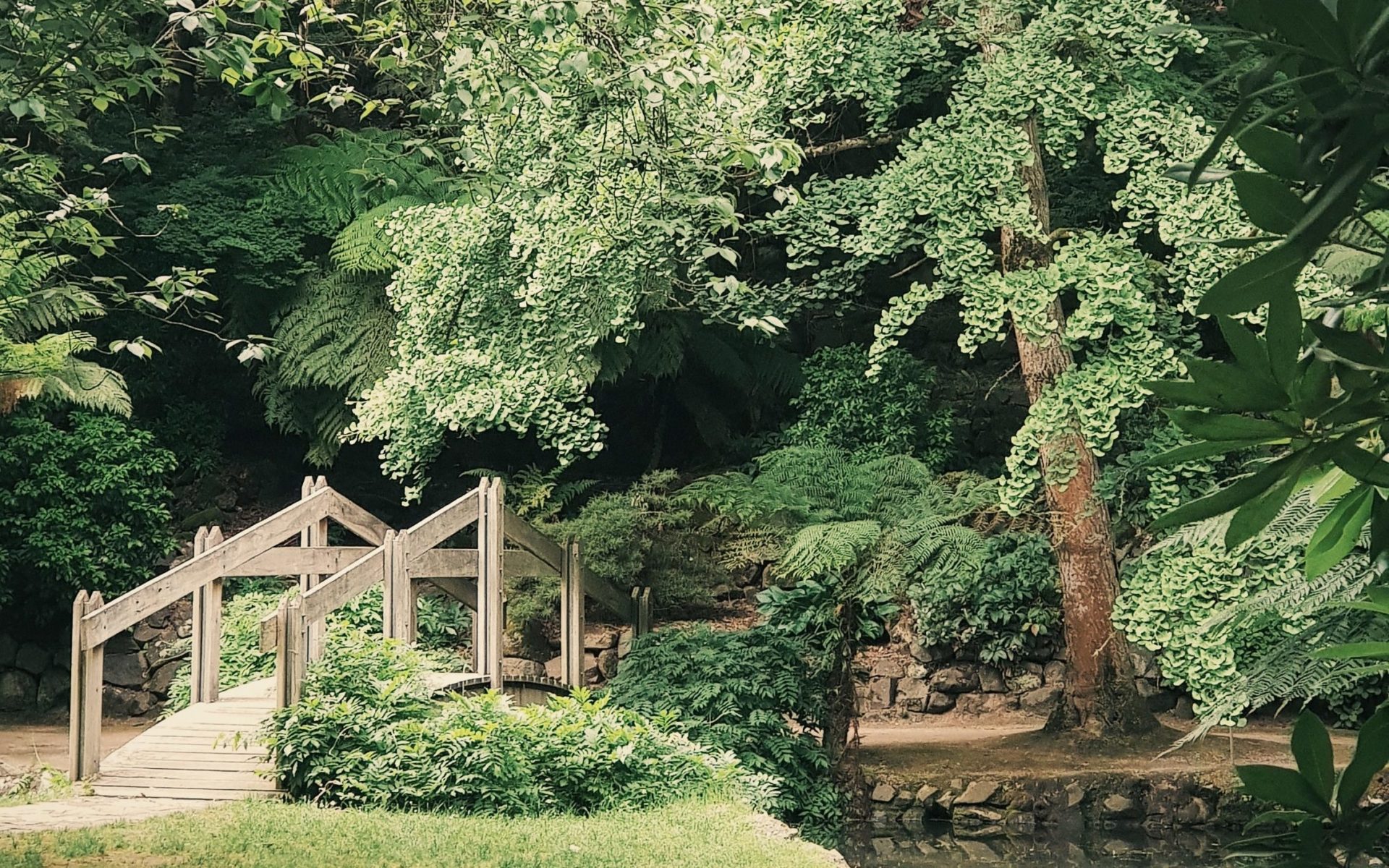 Le terrassement de jardin : Tour savoir pour un aménagement réussi