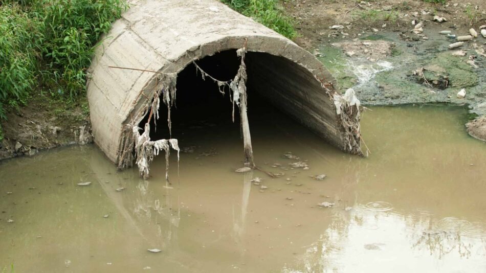 La réutilisation des eaux usées : une réponse technique aux tensions hydriques