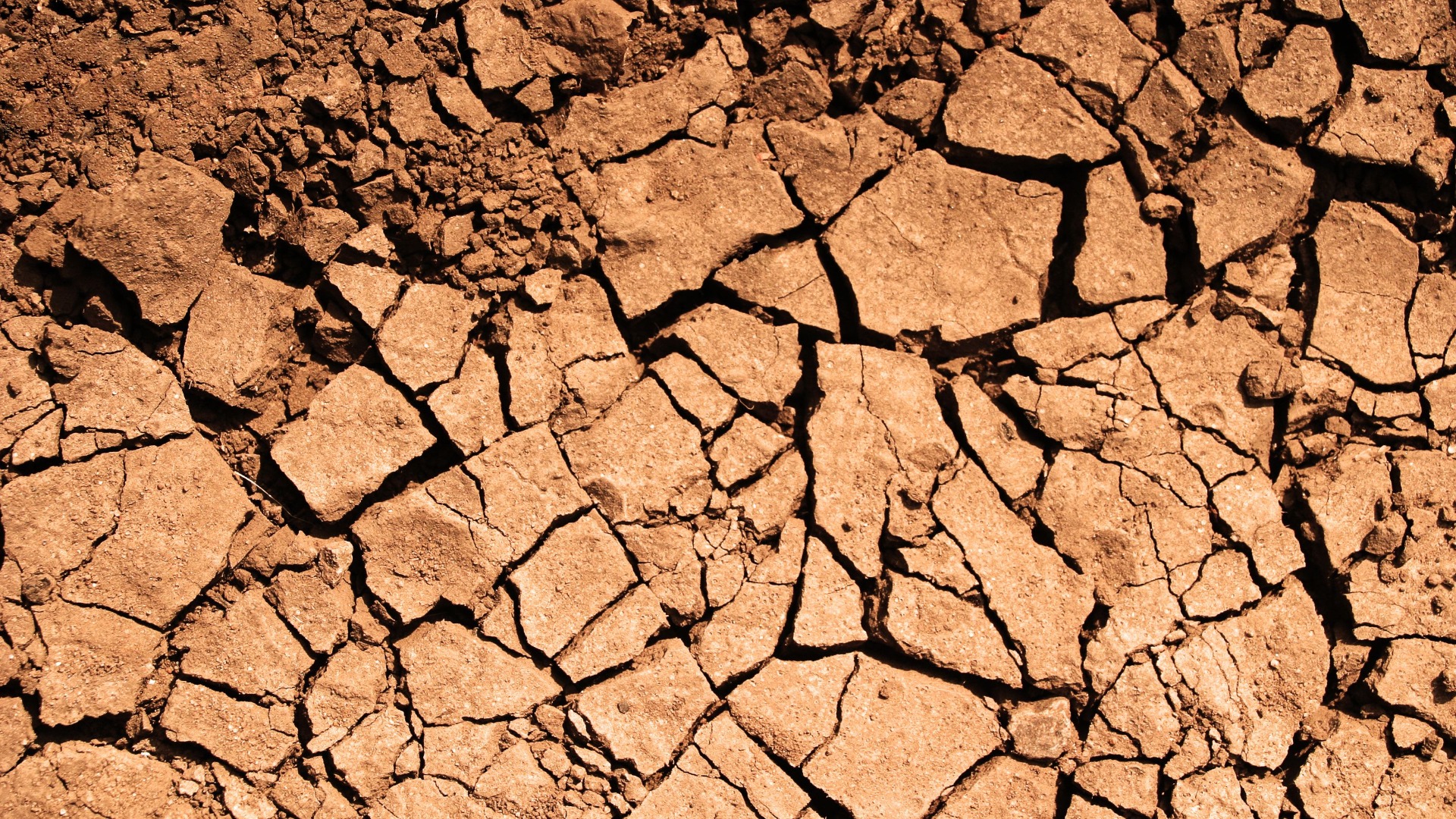 Investigations géotechniques : les spécificités des sols argileux