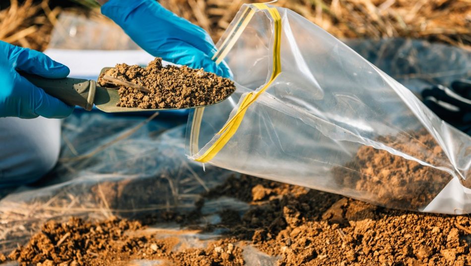 Qualité des sols en France : un baromètre qui tire la sonnette d’alarme